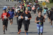T1761515