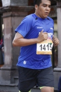 L1746233