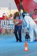 T1784498