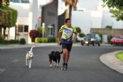 K1778053