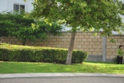 U1777940