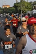 T1780215