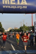 T1780474