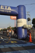 Y1780243