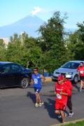 T1796318