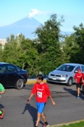 T1796445