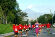 T1798540