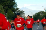 V1799254