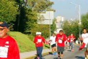 Y1798006