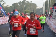 D1797520