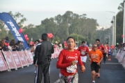 D1797560