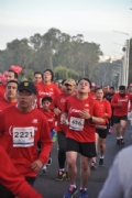 G1797566