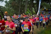 B1795494