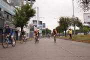 H1818271