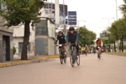 L1817431