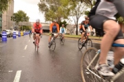 T1817203
