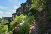I1875881