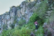 N1874858