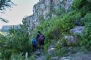 N1875250