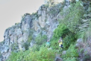 P1874451