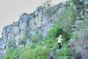 P1874534