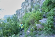 P1875286