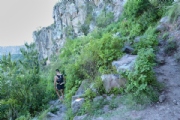 P1875539