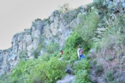 P1875886