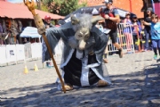 S1875198