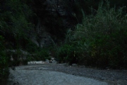 V1900689