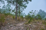 A1904302