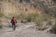 T1929915