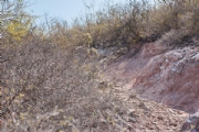 R1931280
