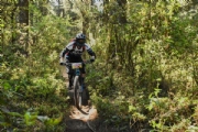 O1937963