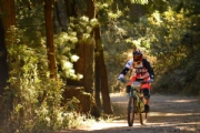 E1938934