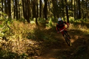 I1939111