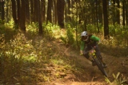 L1938862
