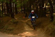 Z1939186