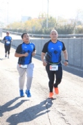 Carrera Gallos