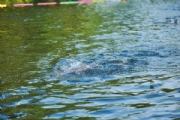 H1927907