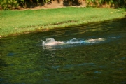 H1928997