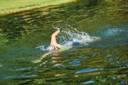 H1929060