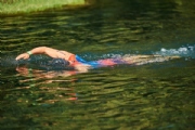 K1927884
