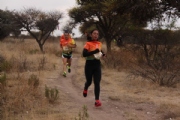 K1956586