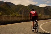 O1949255