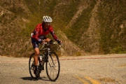 T1949357