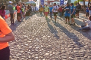 E1961592