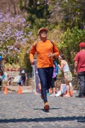 L1961393
