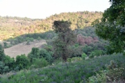 B1960758