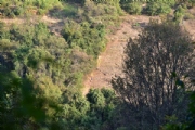 B1961051
